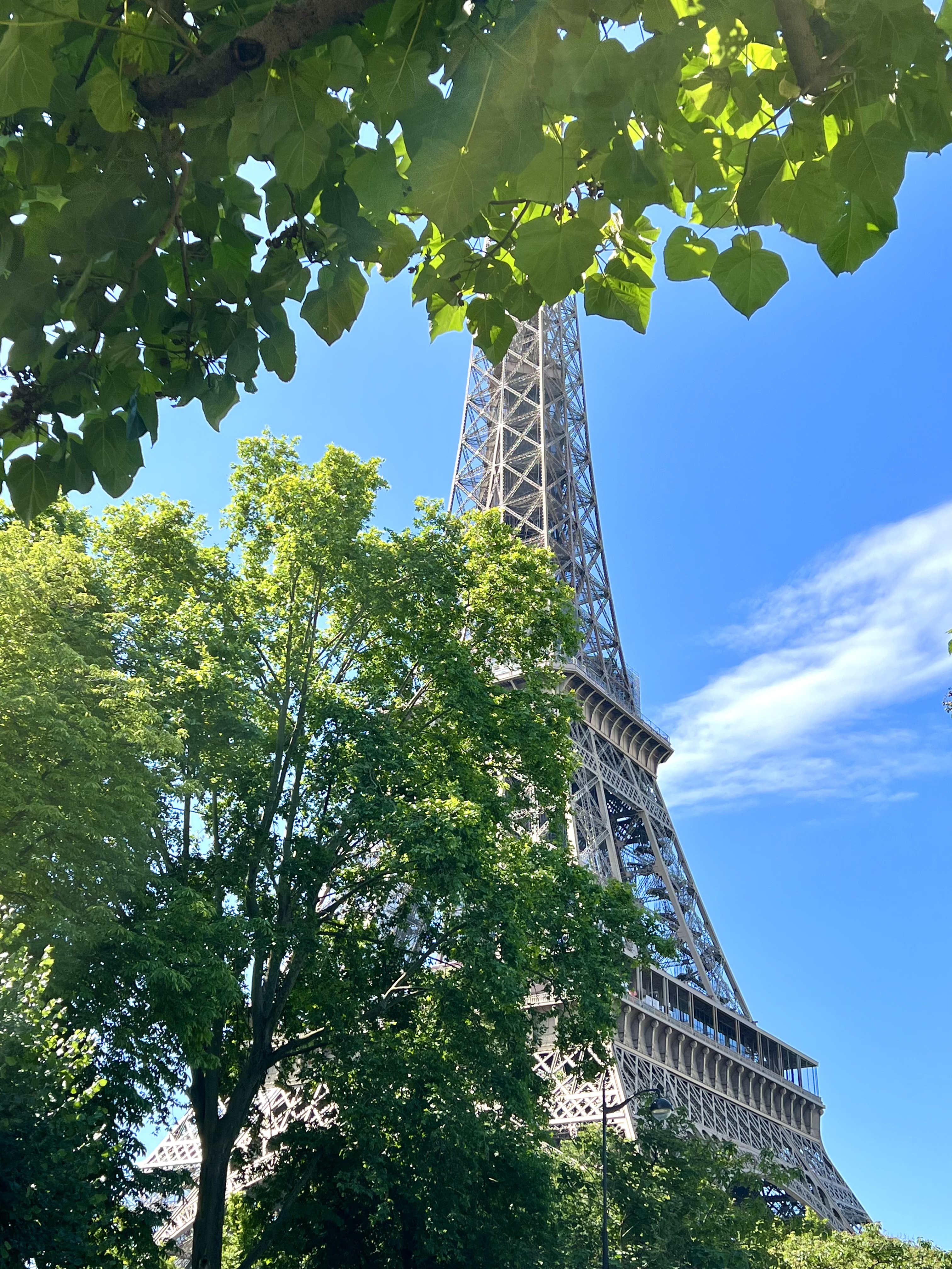 Eiffel Tower_Adrienne Nguyen_Paris