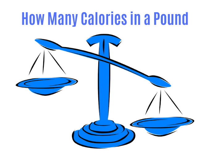 How Many Calories In A Pound Of Fat?