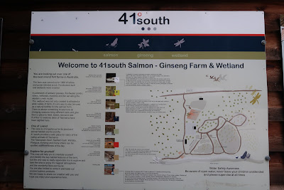 41 South Salmon and Ginseng Farm