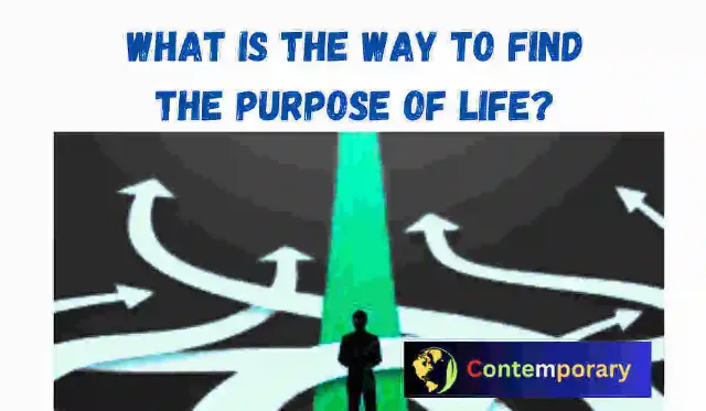 What is the way to find the purpose of life?