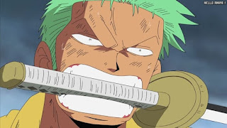 ワンピース アニメ エニエスロビー編 308話 ロロノア・ゾロ Roronoa Zoro | ONE PIECE Episode 308 Enies Lobby