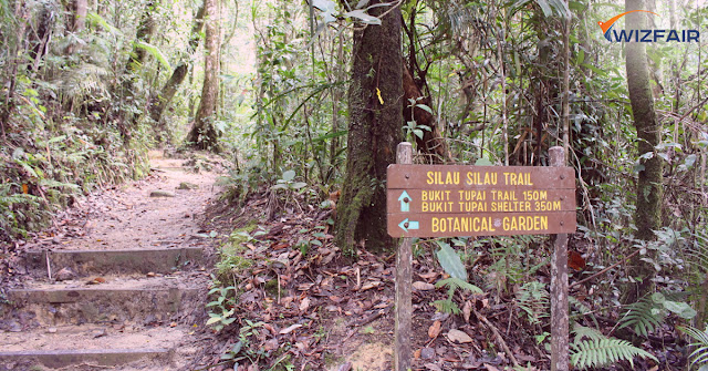 Botanical Garden in Kinabalu National Park Malaysia