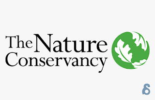 Job Opportunity at Nature Conservancy, Contract Specialist, Africa Region