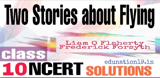 Two stories about flying class 10 ncert solutions