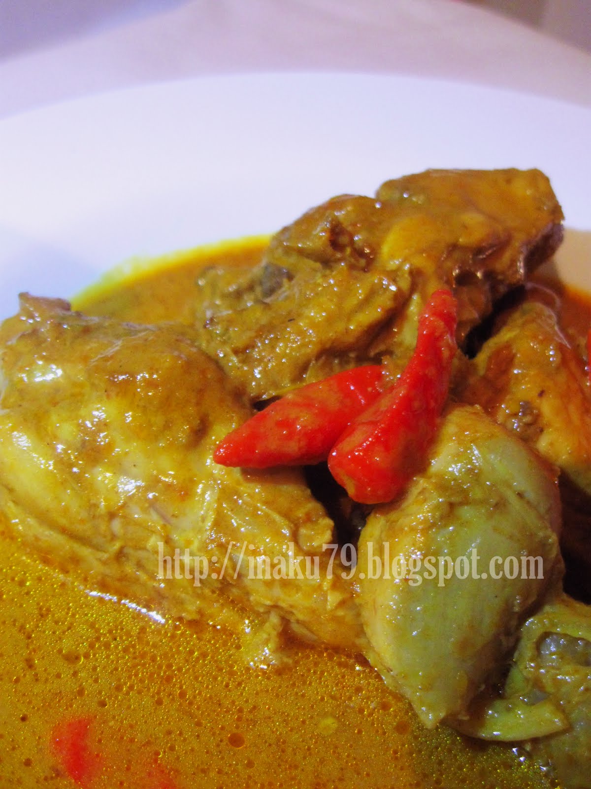 INAKU'S NOTES: GULAI AYAM. sedapnyerrrrrrrr!!!!