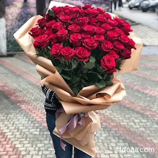 صورة وردة, ورود رومانسية, ورود, ورد, احمر, ازهار, بوكيه