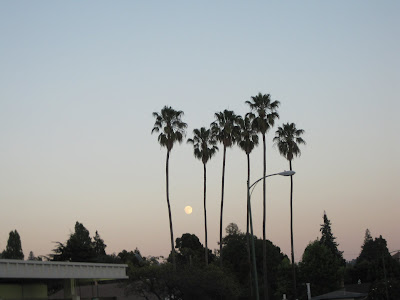 Oakland moon