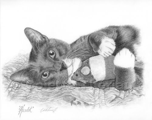 Artful Pencil- Drawings by Pet Animal Artist Colette 