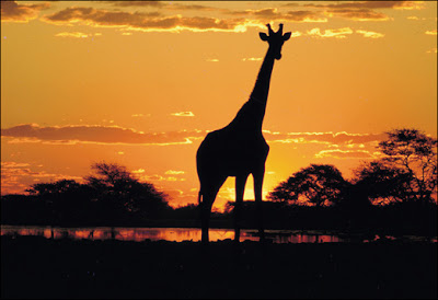 Kruger National Park