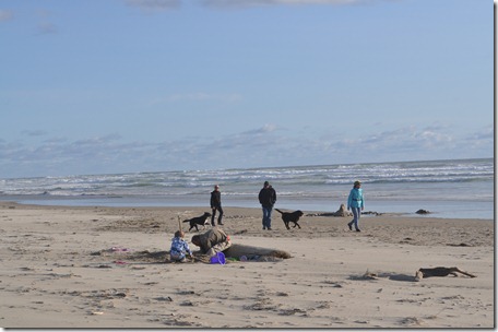 Nehalam Bay,Or 037