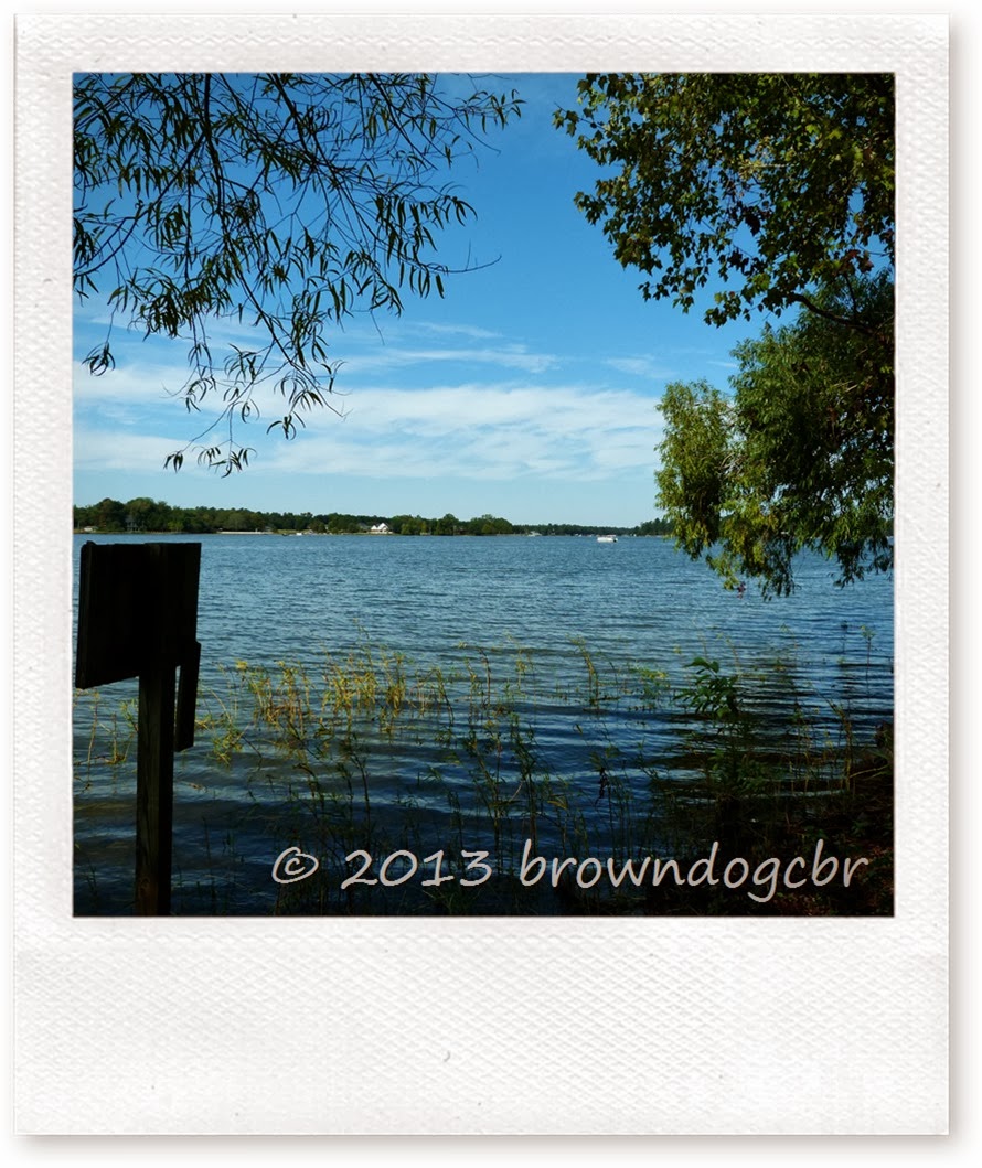 P1290262