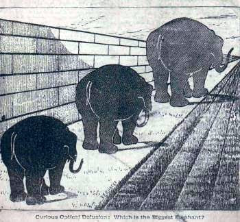 Biggest Elephant Illusion