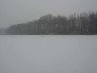 Frozen lake, New Jersey