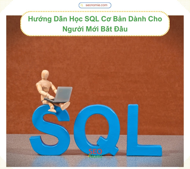 hoc-sql-co-ban-no-code