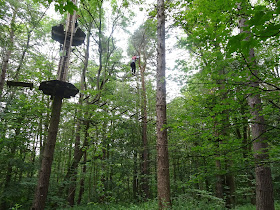 very high on a high rope at go ape matfen northumberland review