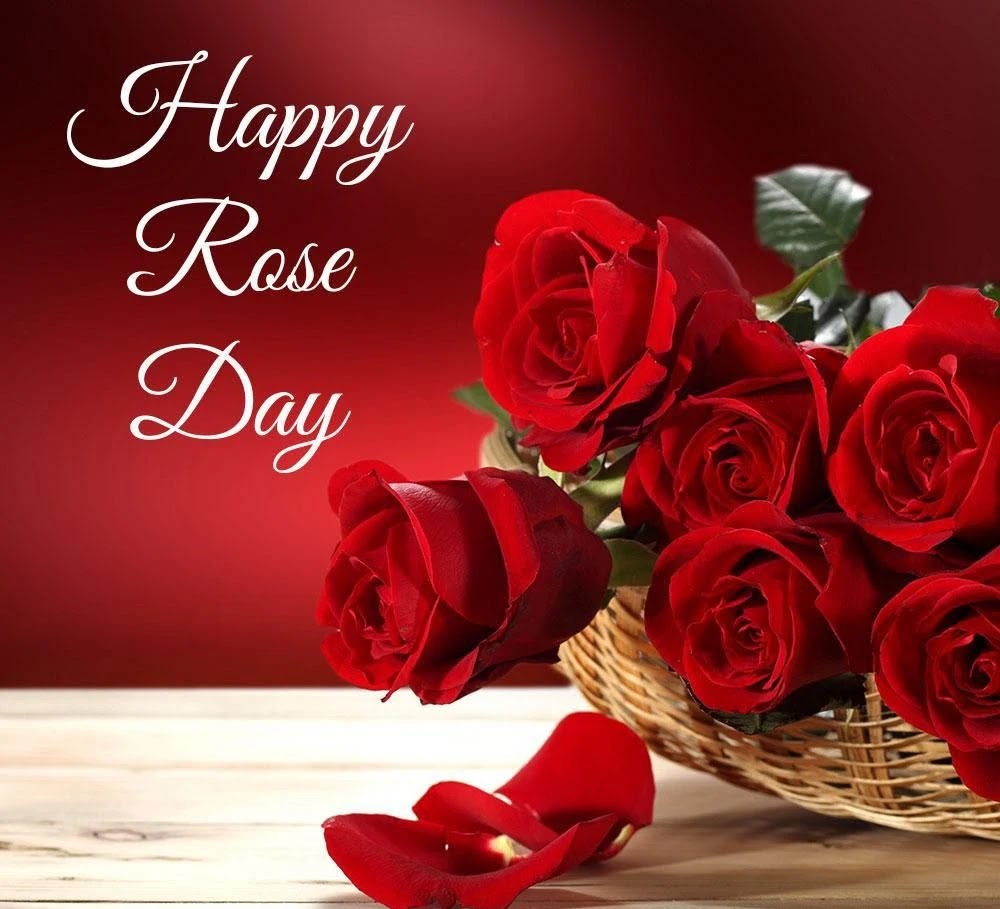 اليوم العالمي للورد الأحمر Red Rose Day تعرف عليه وكيف تحتفل به؟