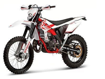  2013 GAS GAS 125