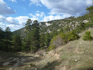 Cerro San Felipe