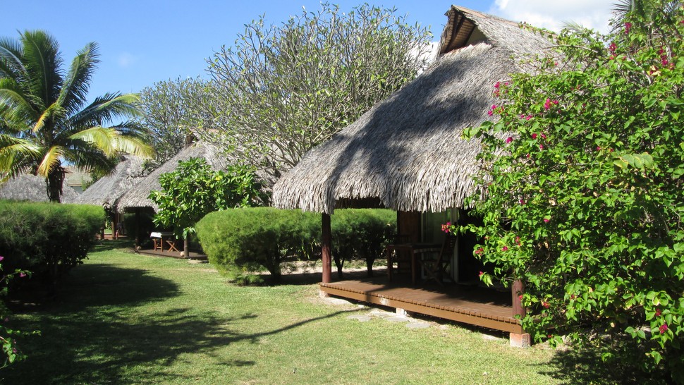 Hotel les Tipaniers Moorea - Bungalows