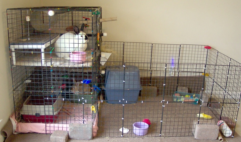 HD Animals: homemade rabbit cages
