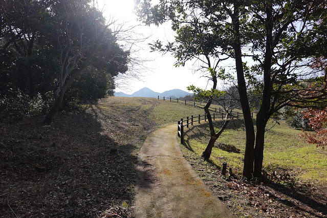 鳥取県西伯郡大山町妻木 むきばんだ史跡公園 弥生の森の遊歩道