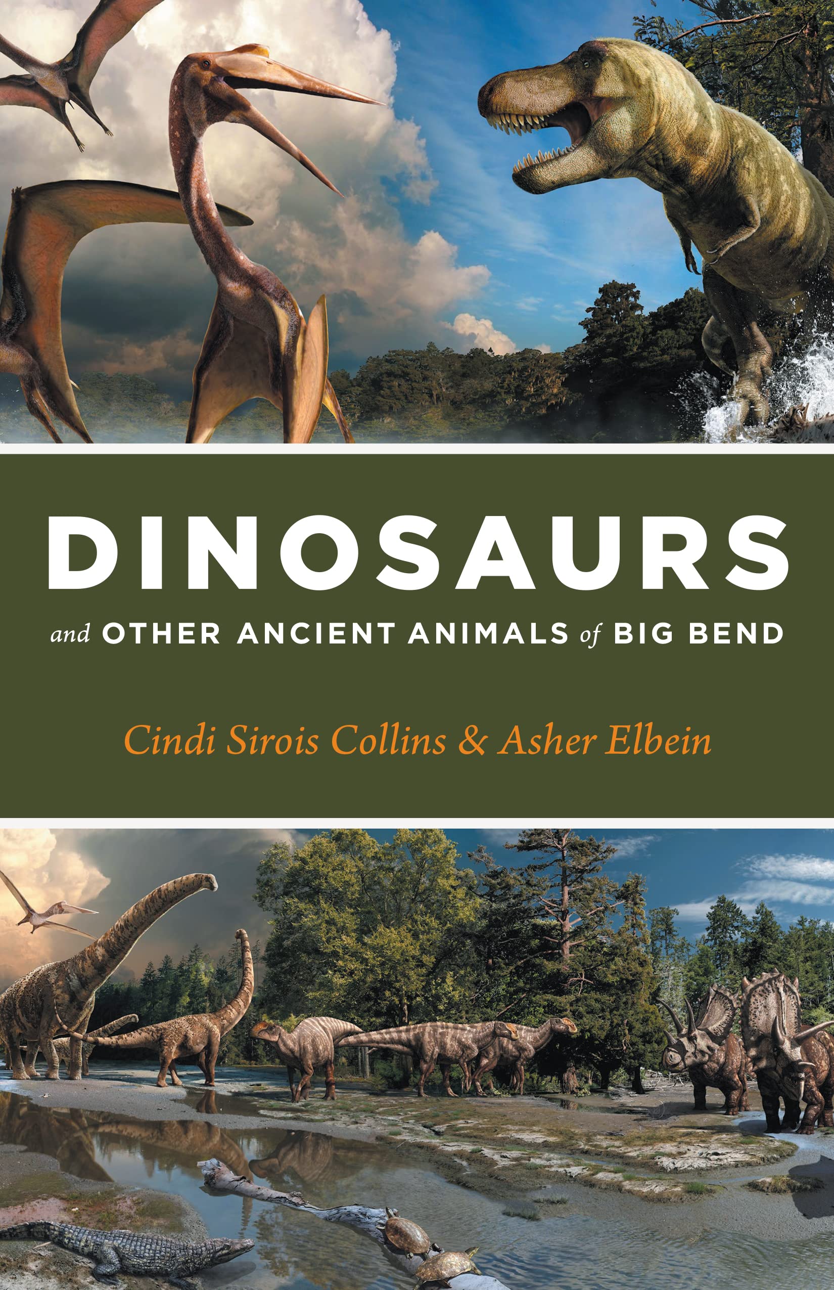 Dinosaurs And Other Ancient Animals