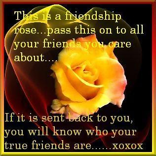 Friendship Rose Greetings