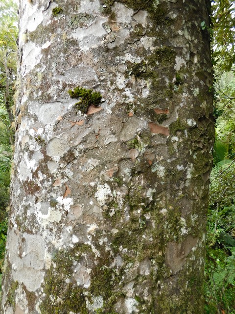 DSCN0026