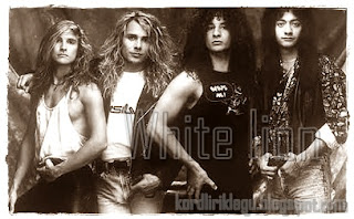 white lion