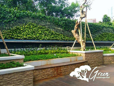 Jasa Pemasangan Vertical Garden Tasikmalaya - Tukang Taman Dinding di Tasikmalaya