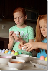Eggs8