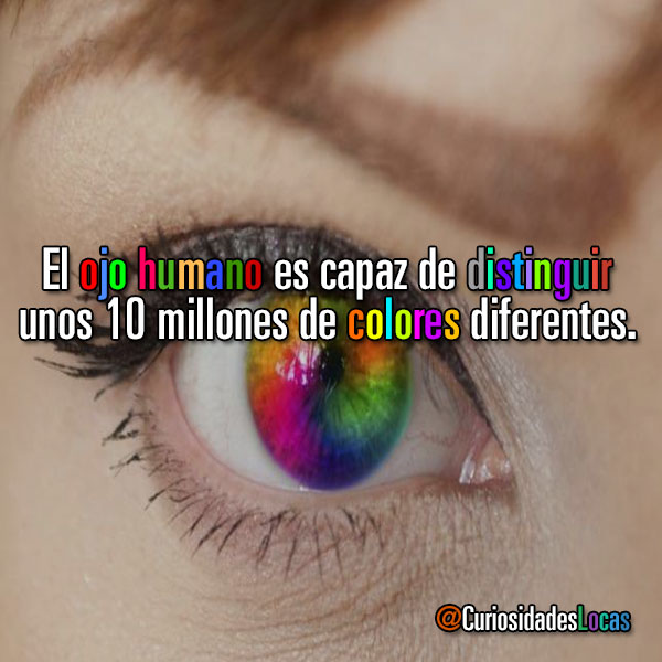 Curiosidad de los ojos