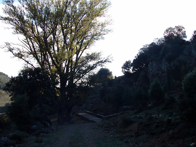 Font de Salvasoria
