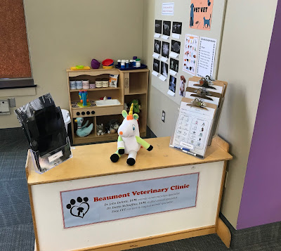 Vet Clinic dramatic play center, Veterinary dramatic play center, dramatic play at the library