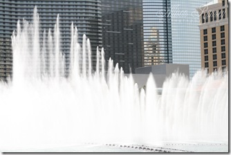 IMG_7931
