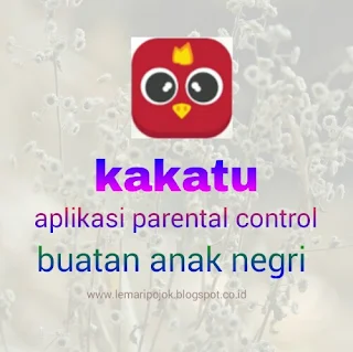 Kakatu, aplikasi parental control buatan anak negri