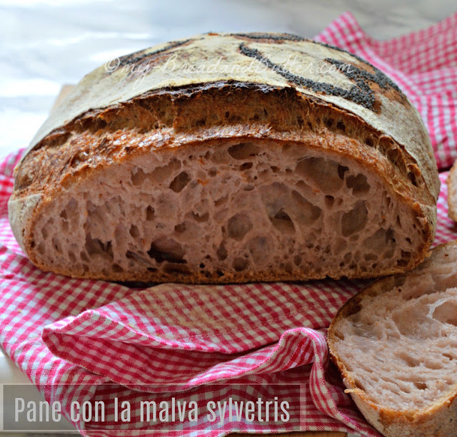 pane con lievito madre cotto in pentola