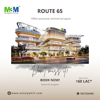 M3M Route 65