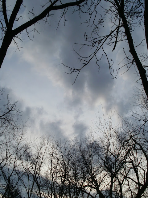 Sky Between Snowfalls