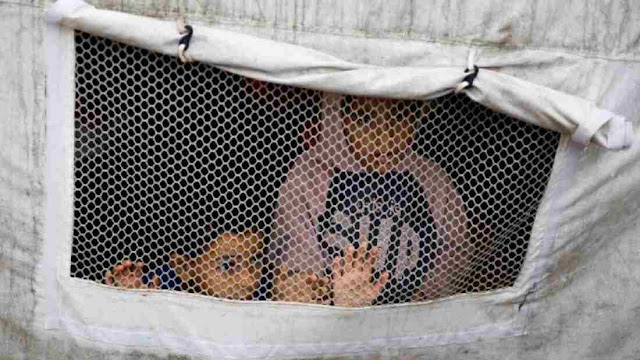 Peringatan Hari Anak Sedunia Dampak Tragis Perang Gaza pada Anak-anak