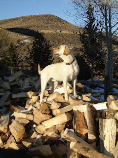 King of the Mountain!