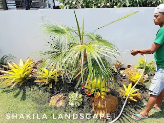 Tukang taman ponorogo
