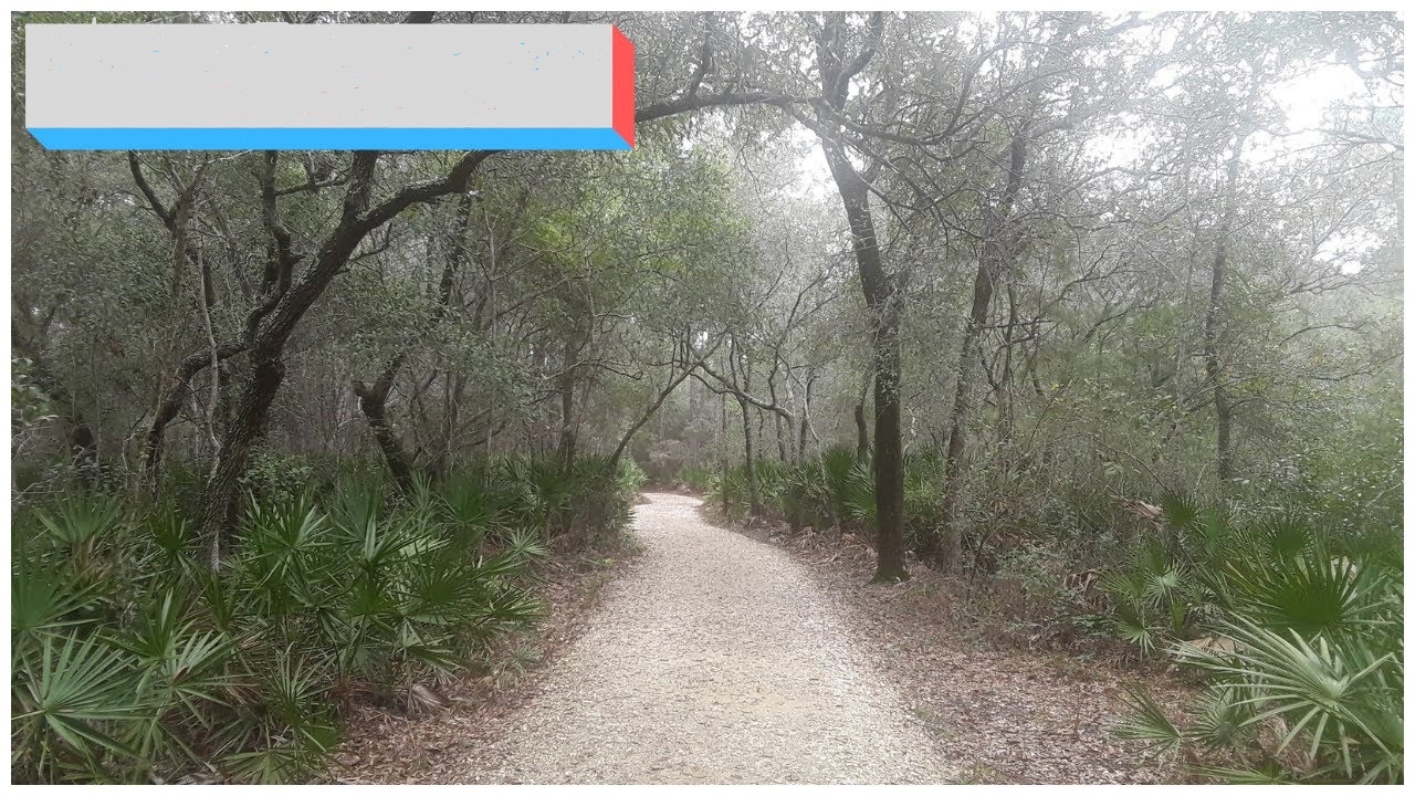 Bon Secour National Wildlife Refuge, Gulf Shores