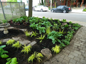Summerhill Toronto New Front Garden Makeover After by Paul Jung Gardening Services--a Toronto Organic Gardening Company