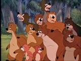 1-4 les ours