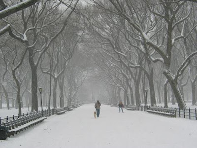 New York City Snow Pictures