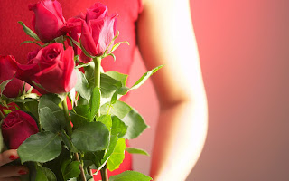 Love And Roses HD Wallpaper
