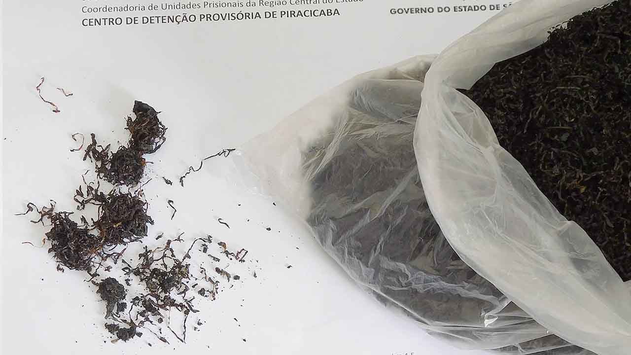 Maconha é encontrada em fumo enviado para o CDP de Piracicaba
