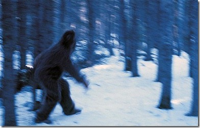 yetis201156888