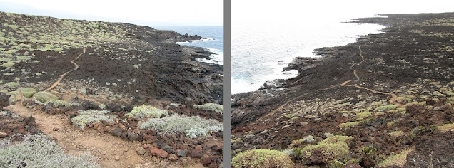 MALPAIS DE GÜIMAR (PUERTO DE GÜIMAR - TENERIFE), sendero